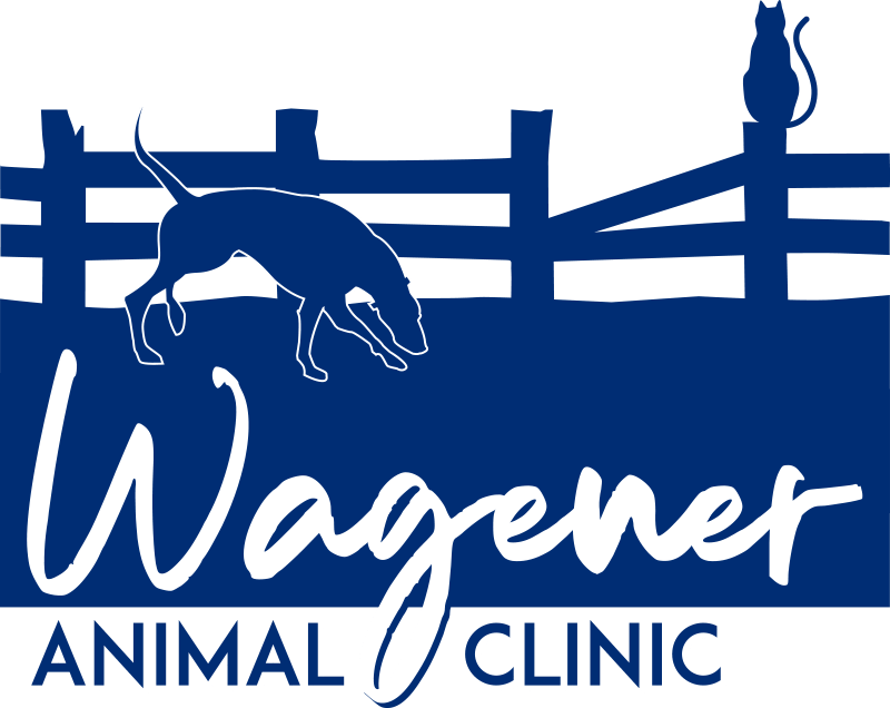 Cross Street Veterinary Hospital logo