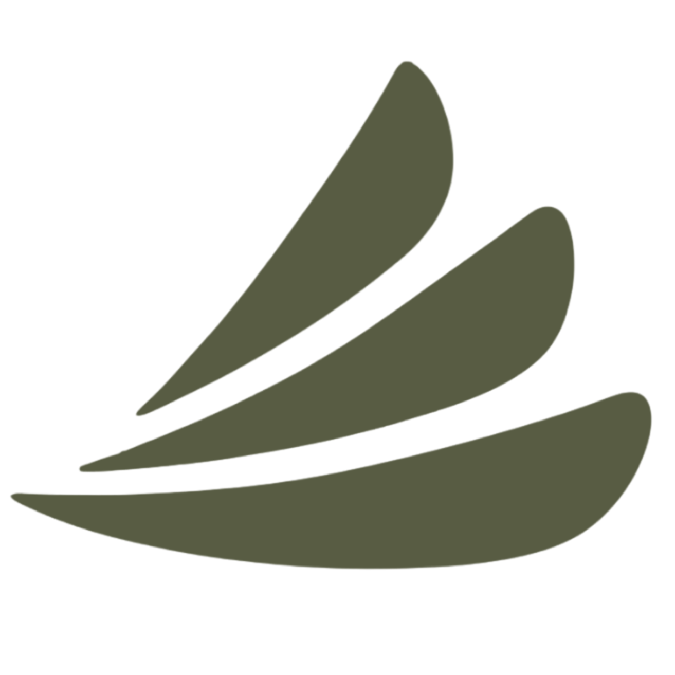 CareCredit Logo