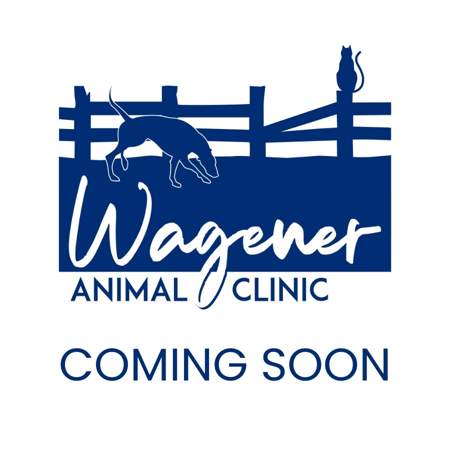 Coming Soon Placeholder